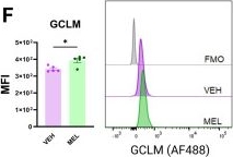 Fig.6.F showing Flow cytometry/Cell sorting in a Mus musculus (House mouse) sample from the publication: Melatonin suppresses ILC2-driven airway hyperreactivity via glutathione-dependent metabolic reprogramming.