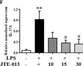 Fig.9.F from the publication: Blocking the Sphingosine-1-Phosphate Receptor 2 (S1P2) Reduces the Severity of Collagen-Induced Arthritis in DBA-1J Mice.