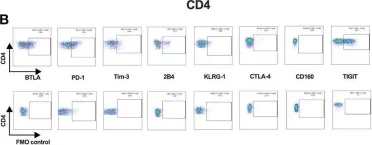 Fig.2.B showing Flow cytometry/Cell sorting in a Homo sapiens (Human) sample from the publication: A Comprehensive Analysis of Key Immune Checkpoint Receptors on Tumor-Infiltrating T Cells From Multiple Types of Cancer.
