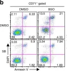 Fig.1.B showing Flow cytometry/Cell sorting in a Mus musculus (House mouse) sample from the publication: P38α/JNK signaling restrains erythropoiesis by suppressing Ezh2-mediated epigenetic silencing of Bim.