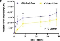 中身確認ページ(*^^*) Fluorescein isothiocyanate-dextran average mol wt 4,000, FITC
