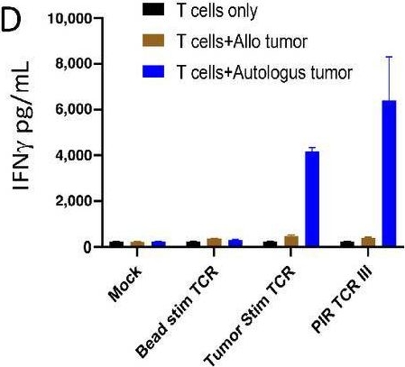 Fig.4.D showing Enzyme-linked immunosorbent assay in a Homo sapiens (Human) sample from the publication: Reprogramming of Tumor-reactive Tumor-infiltrating Lymphocytes to Human-induced Pluripotent Stem Cells.