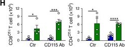 Fig.2.H showing Flow cytometry/Cell sorting in a Mus musculus (House mouse) sample from the publication: Neutrophil Antigen Presentation Reprograms the Tumor Microenvironment and Elicits Durable and Broad Antitumor Immunity.