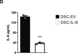 Fig.2.D showing Enzyme-linked immunosorbent assay from the publication: The IL-6 signaling pathway contributes critically to the immunomodulatory mechanism of human decidua-derived mesenchymal stromal cells.