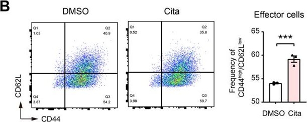 Fig.4.B showing Flow cytometry/Cell sorting in a Mus musculus (House mouse) sample from the publication: Citalopram exhibits immune-dependent anti-tumor effects by modulating C5aR1+ TAMs.