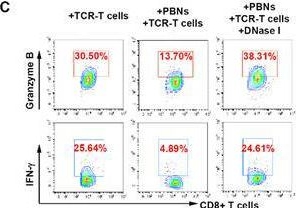 Fig.4.C showing Flow cytometry/Cell sorting in a Mus musculus (House mouse) sample from the publication: The CXCL10-CXCR3 Axis Induces Tumor-Associated Neutrophils to Interfere with CTLs-Mediated Antitumor Activity in EBV-Associated Epithelial Cancers.