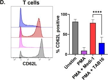 Fig.1.D showing Flow cytometry/Cell sorting from the publication: Dual-functioning Targeted ADAM17 Blocker CD16 (TAB16) mediates selective ADAM17 inhibition in NK cells and engages overexpressed ADAM17 in tumor cells to induce cytotoxicity.
