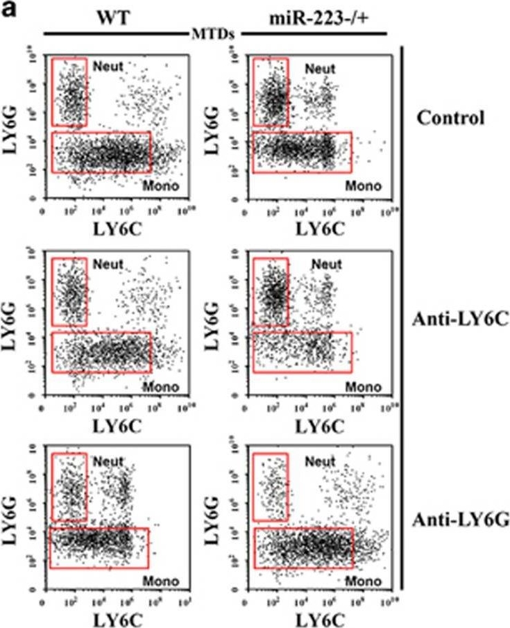 Fig.5.A showing Flow cytometry/Cell sorting in a Mus musculus (House mouse) sample from the publication: Ly6G+ neutrophil-derived miR-223 inhibits the NLRP3 inflammasome in mitochondrial DAMP-induced acute lung injury.