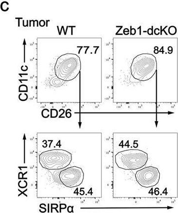 Fig.3.C showing Flow cytometry/Cell sorting in a Mus musculus (House mouse) sample from the publication: The transcription factor Zeb1 controls homeostasis and function of type 1 conventional dendritic cells.