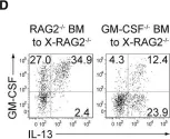 Fig.5.D showing Flow cytometry/Cell sorting in a Mus musculus (House mouse) sample from the publication: Autoimmune Th17 Cells Induced Synovial Stromal and Innate Lymphoid Cell Secretion of the Cytokine GM-CSF to Initiate and Augment Autoimmune Arthritis.