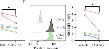 Fig.8.F from the publication: SIRPα engagement regulates ILC2 effector function and alleviates airway hyperreactivity via modulating energy metabolism.
