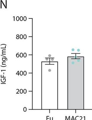 Fig.2.N showing Enzyme-linked immunosorbent assay from the publication: Hypermetabolism in mice carrying a near-complete human chromosome 21.