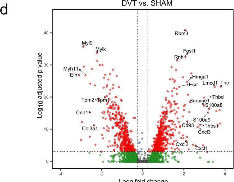 Fig.2.D showing Flow cytometry/Cell sorting from the publication: A vein wall cell atlas of murine venous thrombosis determined by single-cell RNA sequencing.