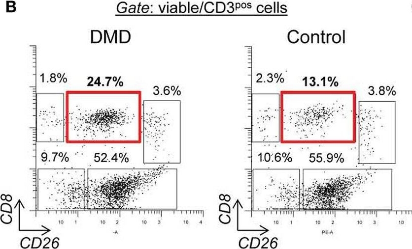 Fig.2.B showing Flow cytometry/Cell sorting from the publication: Increased Number of Circulating CD8/CD26 T Cells in the Blood of Duchenne Muscular Dystrophy Patients Is Associated with Augmented Binding of Adenosine Deaminase and Higher Muscular Strength Scores.