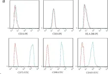 Fig.1.A showing Flow cytometry/Cell sorting from the publication: Osteogenic differentiation of mesenchymal stem cells promotes c-Jun-dependent secretion of interleukin 8 and mediates the migration and differentiation of CD4+ T cells.