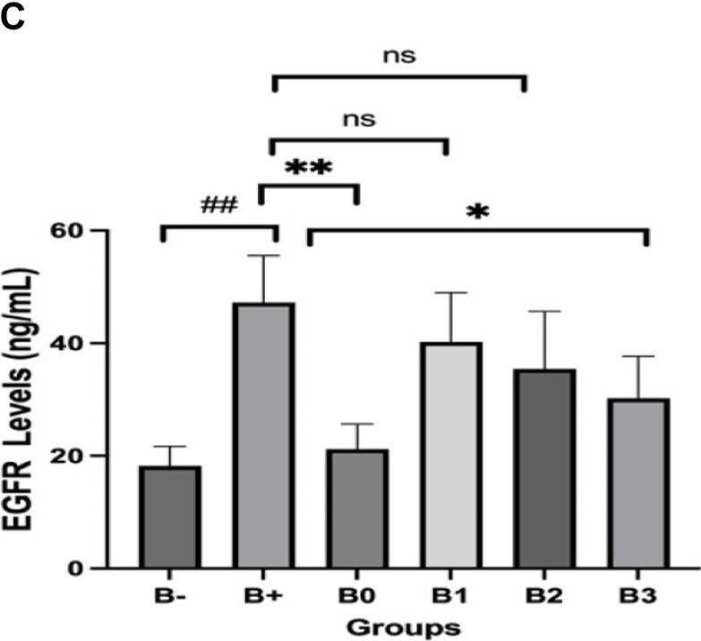 Fig.4.C showing Enzyme-linked immunosorbent assay from the publication: Rhodomyrtus tomentosa as a new anticancer molecular strategy in breast histology via Her2, IL33, EGFR, and MUC1.