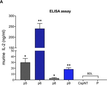 Fig.6.A showing Enzyme-linked immunosorbent assay from the publication: Efficient Secretion of Murine IL-2 From an Attenuated Strain of Clostridium sporogenes, a Novel Delivery Vehicle for Cancer Immunotherapy.