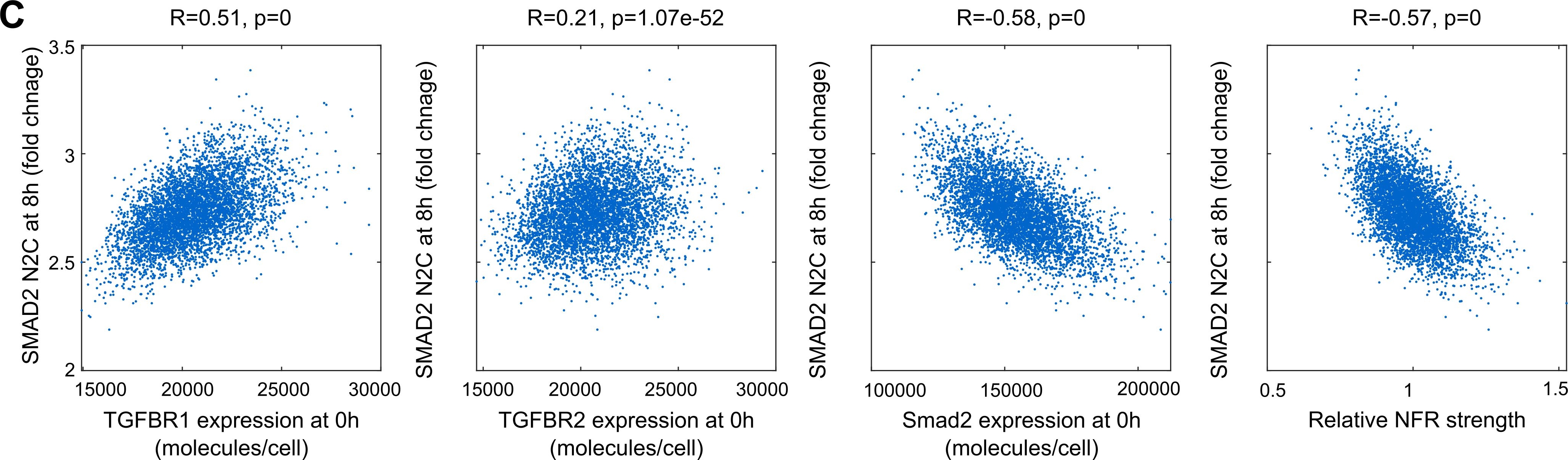 Fig.5.C showing Flow cytometry/Cell sorting in a Homo sapiens (Human) sample from the publication: Liebig's law of the minimum in the TGF-β/SMAD pathway.