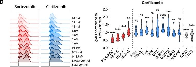 Fig.2.D showing Flow cytometry/Cell sorting from the publication: Proteasome inhibition enhances the anti-leukemic efficacy of chimeric antigen receptor (CAR) expressing NK cells against acute myeloid leukemia.