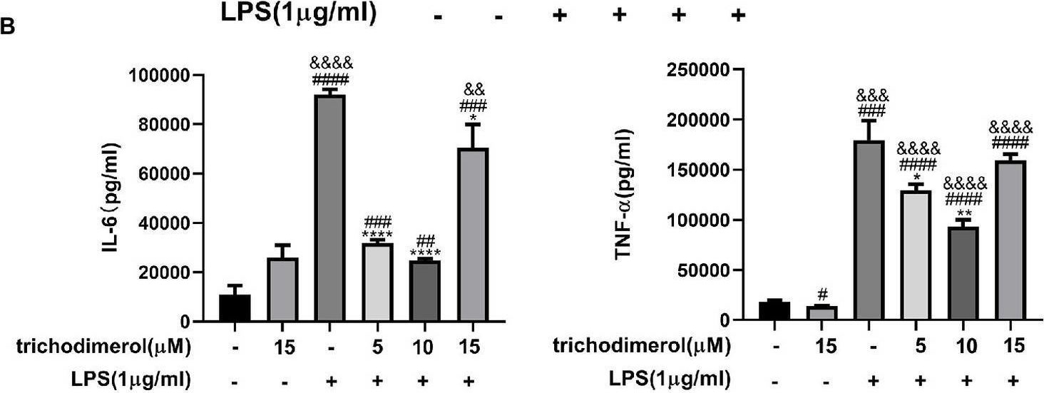 Fig.2.B showing Enzyme-linked immunosorbent assay from the publication: Trichodimerol inhibits inflammation through suppression of the nuclear transcription factor-kappaB/NOD-like receptor thermal protein domain associated protein 3 signaling pathway.