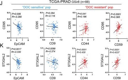 Fig.4.J showing Flow cytometry/Cell sorting from the publication: Pre-existing cell subpopulations in primary prostate cancer tumors display surface fingerprints of docetaxel-resistant cells.