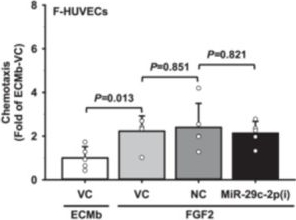 Fig.2.R showing Enzyme-linked immunosorbent assay from the publication: Sexually Dimorphic Regulation of MiR-29a/c-3p in Human Endothelial Cells: Cell Functions and Transcriptome.