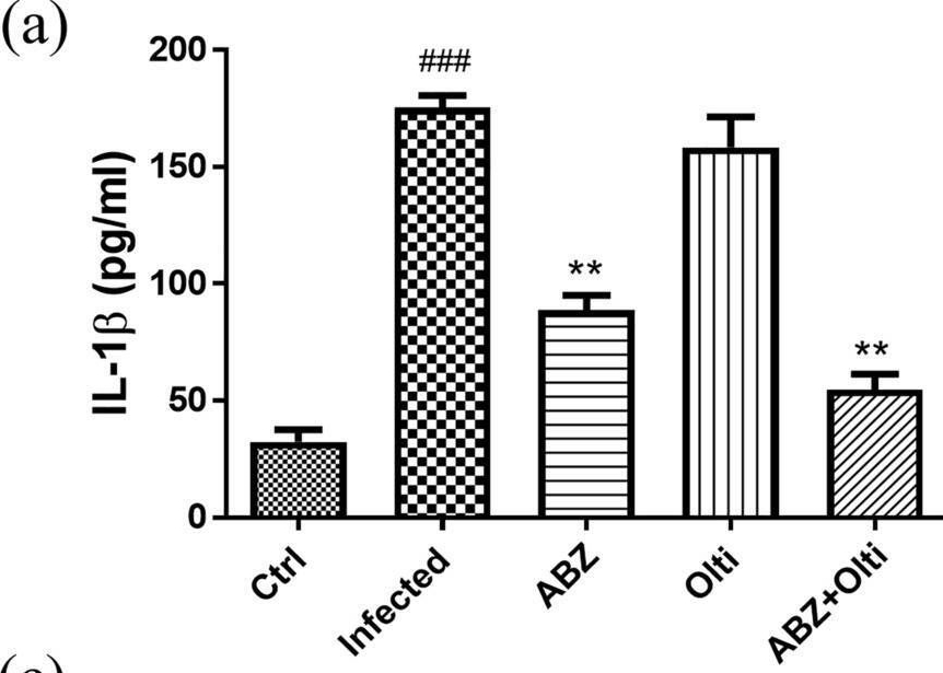 Fig.2.A showing Enzyme-linked immunosorbent assay from the publication: Upregulation of Nrf2 attenuates Angiostrongylus cantonensis-induced parasitic meningitis in mice.