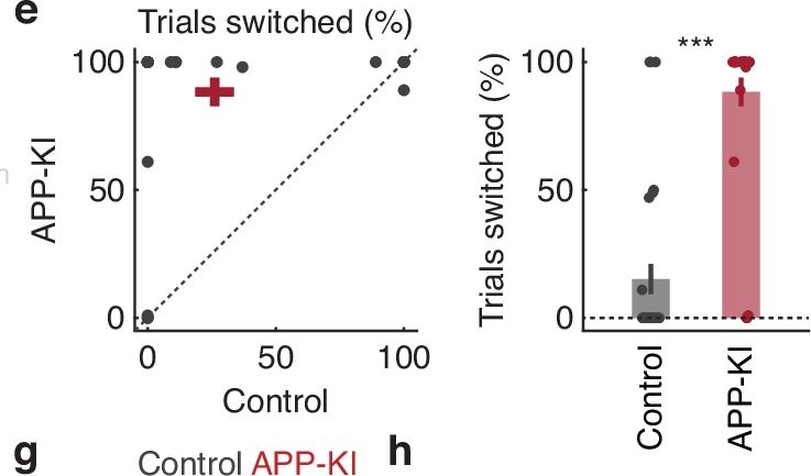 Fig.5.E from the publication: Vulnerability of short-term memory in a mouse model of Alzheimer's disease.