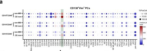 Fig.5.A from the publication: Colonic spatial single-cell proteomics and murine models link mitochondrial dysfunction to dimeric IgA-secreting plasma cell deficiency in Crohn's disease.