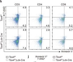 Fig.2.H showing Flow cytometry/Cell sorting from the publication: Tox4 regulates transcriptional elongation and reinitiation during murine T cell development.