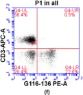 Fig.3.F showing Flow cytometry/Cell sorting in a Homo sapiens (Human) sample from the publication: Identifying the Pathological Domain of Alpha- Synuclein as a Therapeutic for Parkinson's Disease.