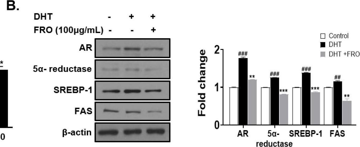 Fig.4.B showing Western Blotting in a Homo sapiens (Human) sample from the publication: Efficacy of FRO on Acne Vulgaris Pathogenesis.