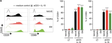 Fig.1.A showing Flow cytometry/Cell sorting from the publication: IL-15 Harnesses Pro-inflammatory Function of TEMRA CD8 in Kidney-Transplant Recipients.