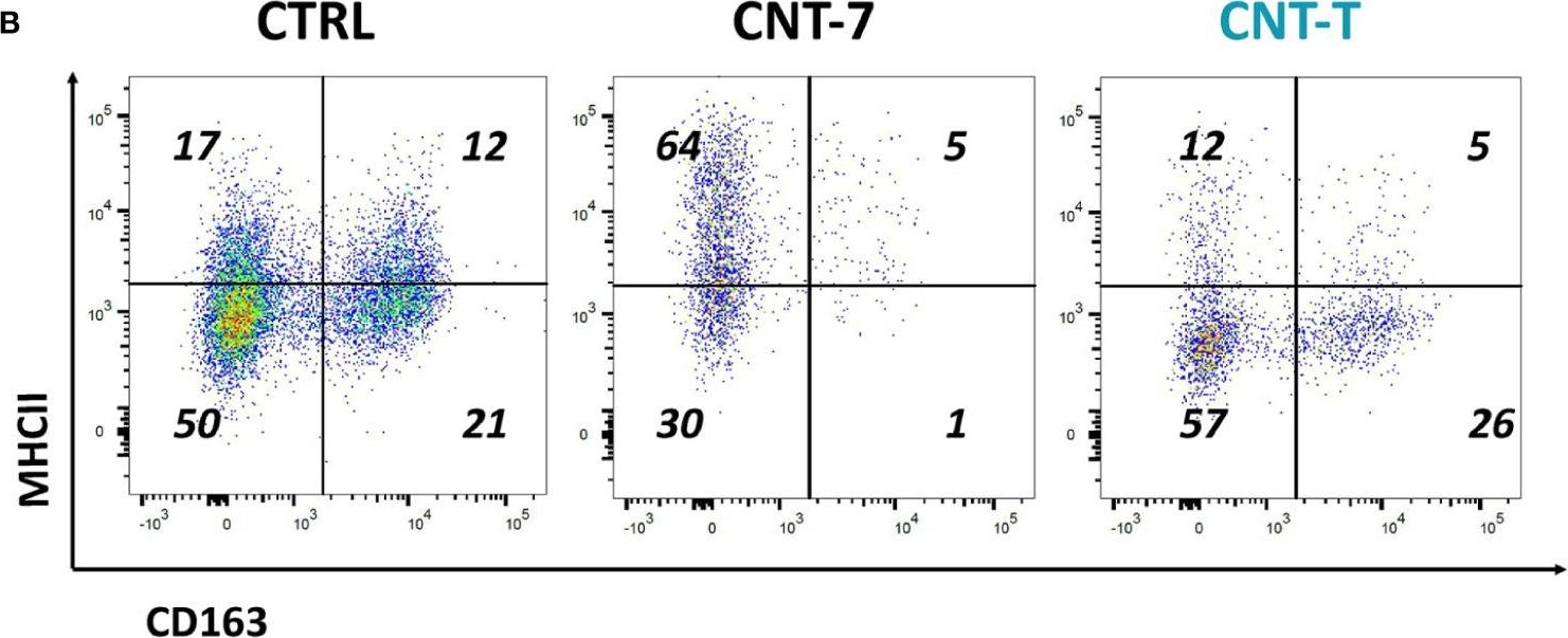 Fig.3.B showing Flow cytometry/Cell sorting in a Rattus norvegicus (Rat) sample from the publication: Monocytic Ontogeny of Regenerated Macrophages Characterizes the Mesotheliomagenic Responses to Carbon Nanotubes.