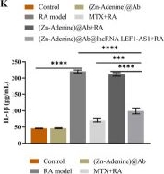Fig.6.K showing Enzyme-linked immunosorbent assay from the publication: Efficient delivery of the lncRNA LEF1-AS1 through the antibody LAIR-1 (CD305)-modified Zn-Adenine targets articular inflammation to enhance the treatment of rheumatoid arthritis.