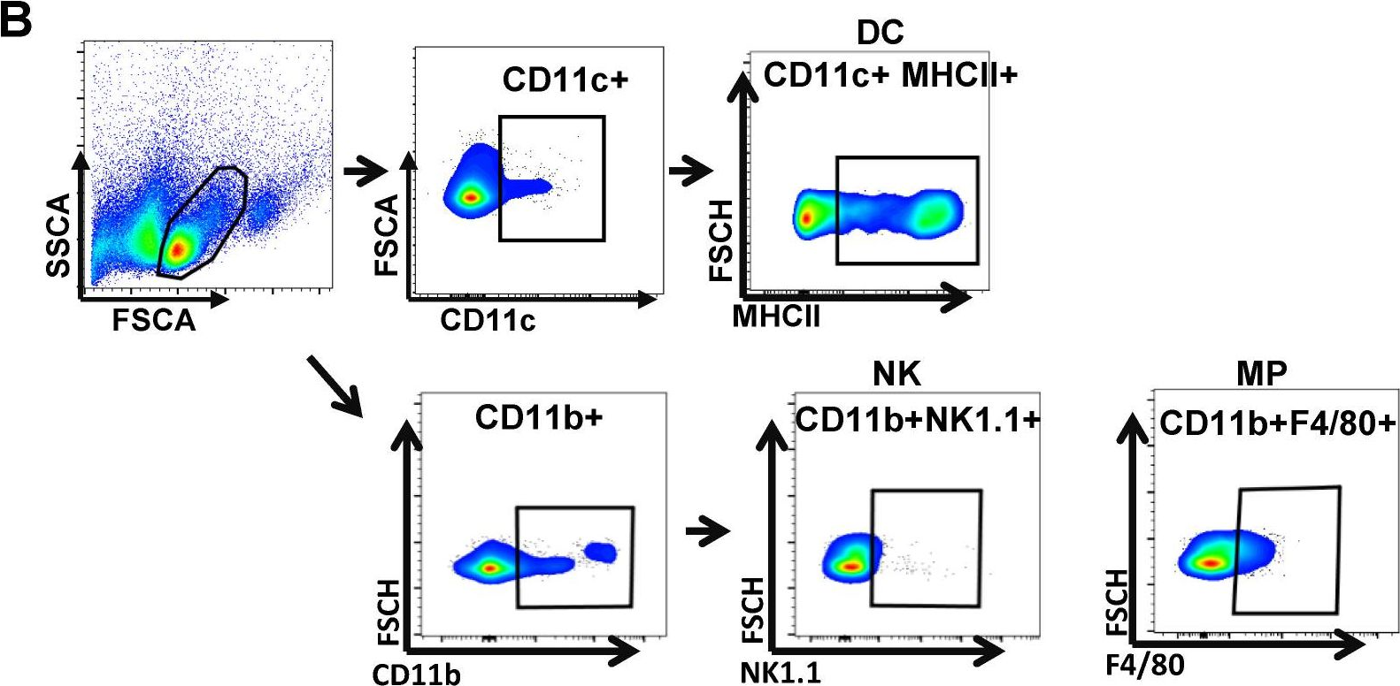 Fig.2.B showing Flow cytometry/Cell sorting in a Mus musculus (House mouse) sample from the publication: Carrot Pomace Polysaccharide (CPP) Improves Influenza Vaccine Efficacy in Immunosuppressed Mice via Dendritic Cell Activation.