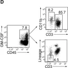 Fig.7.D showing Flow cytometry/Cell sorting in a Mus musculus (House mouse) sample from the publication: Autoimmune Th17 Cells Induced Synovial Stromal and Innate Lymphoid Cell Secretion of the Cytokine GM-CSF to Initiate and Augment Autoimmune Arthritis.