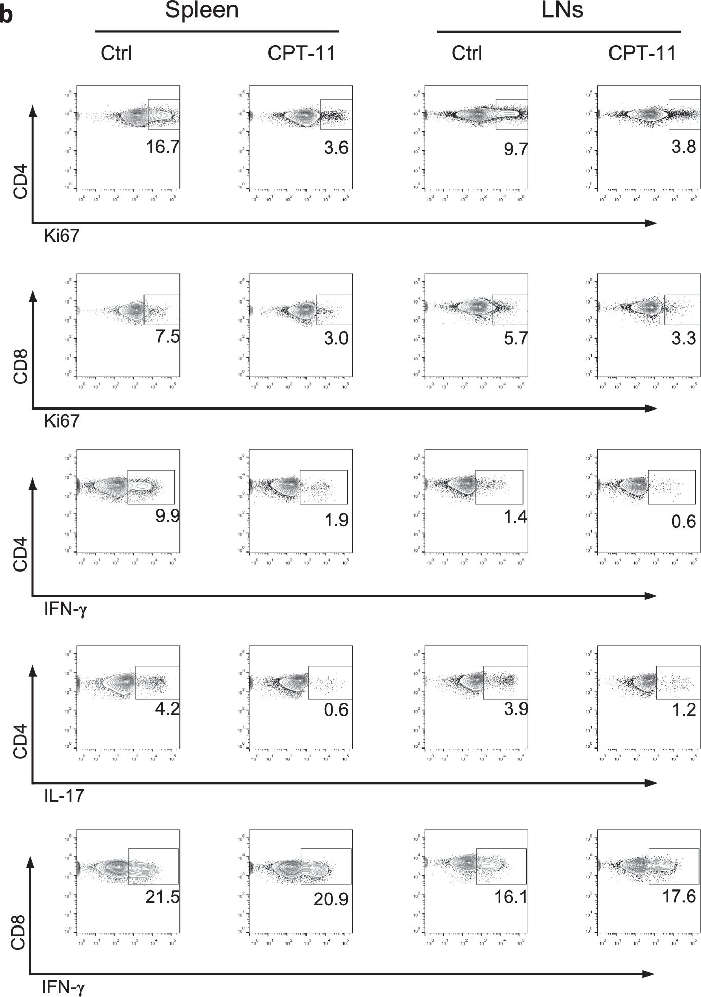 Fig.2.B showing Flow cytometry/Cell sorting in a Mus musculus (House mouse) sample from the publication: CPT-11 mitigates autoimmune diseases by suppressing effector T cells without affecting long-term anti-tumor immunity.