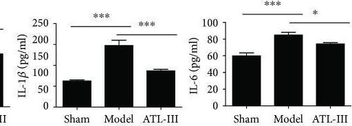 Fig.1.D showing Enzyme-linked immunosorbent assay from the publication: Atractylenolide III Attenuates Muscle Wasting in Chronic Kidney Disease via the Oxidative Stress-Mediated PI3K/AKT/mTOR Pathway.