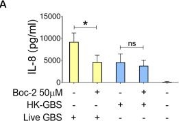 Fig.2.A showing Enzyme-linked immunosorbent assay from the publication: Human neutrophils recognize group B streptococci via formylated peptide receptors and toll-like receptor 8.