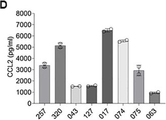 Fig.7.D showing Enzyme-linked immunosorbent assay from the publication: Development and validation of a potency assay matrix for optimized and consistent manufacture of clinical mesenchymal stem/stromal cells.