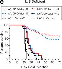Fig.7.C from the publication: Immunological correlates of protection following vaccination with glucan particles containing Cryptococcus neoformans chitin deacetylases.
