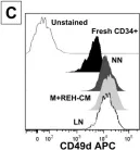 Fig.2.C showing Flow cytometry/Cell sorting in a Homo sapiens (Human) sample from the publication: Phenotypic and Functional Alterations of Hematopoietic Stem and Progenitor Cells in an In Vitro Leukemia-Induced Microenvironment.