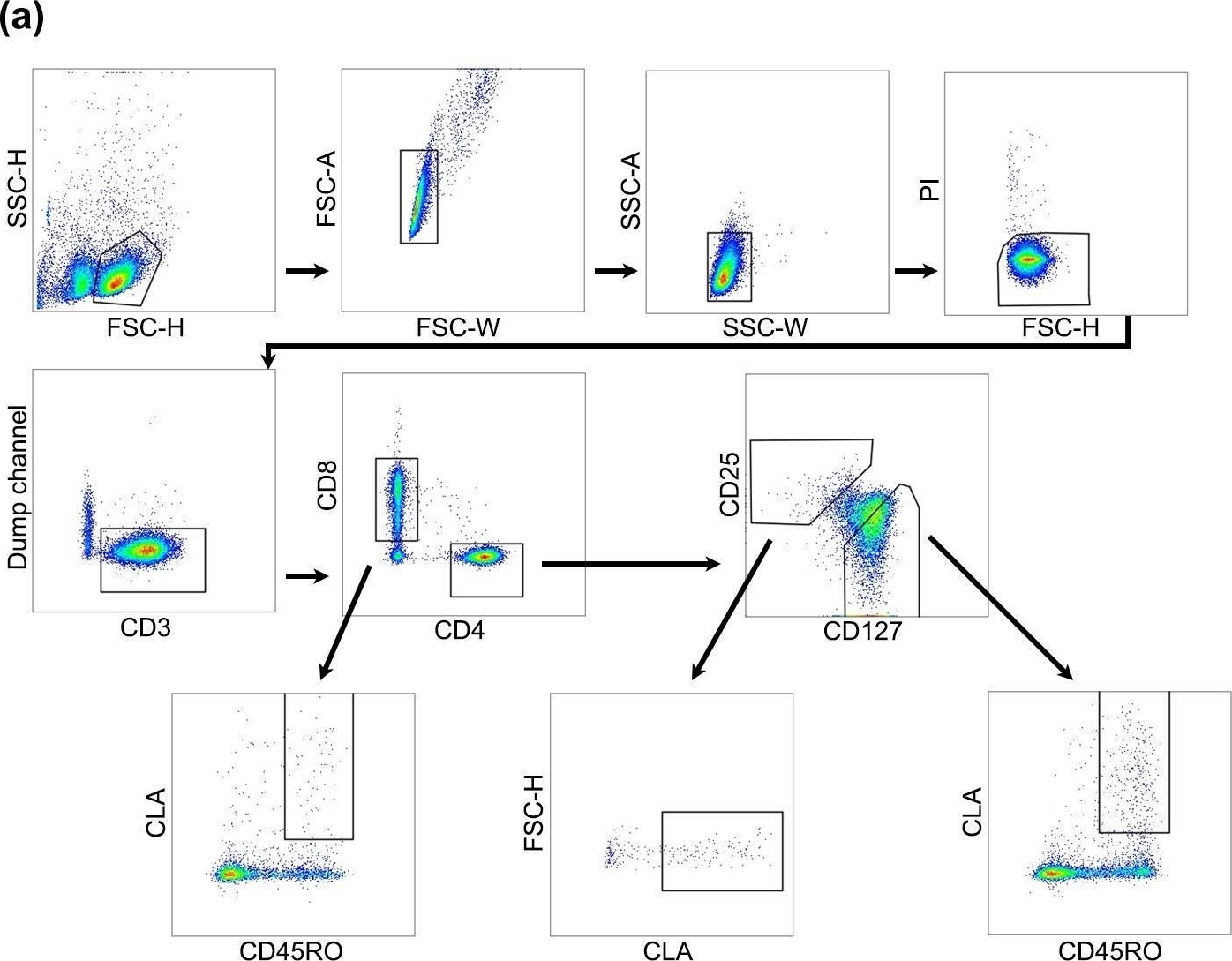 Fig.1.A showing Flow cytometry/Cell sorting in a Homo sapiens (Human) sample from the publication: Transcriptional Analysis of T Cells Resident in Human Skin.