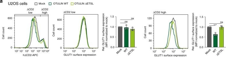 Fig.8.A showing Flow cytometry/Cell sorting in a Mus musculus (House mouse) sample from the publication: Regulation of the endosomal SNX27-retromer by OTULIN.
