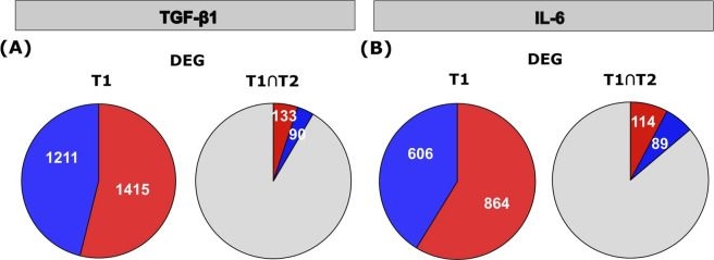 Fig.4.A from the publication: Long-term cytokine exposure remodels the methylome and transcriptome of recessive dystrophic epidermolysis bullosa keratinocytes - a bioinformatic analysis.