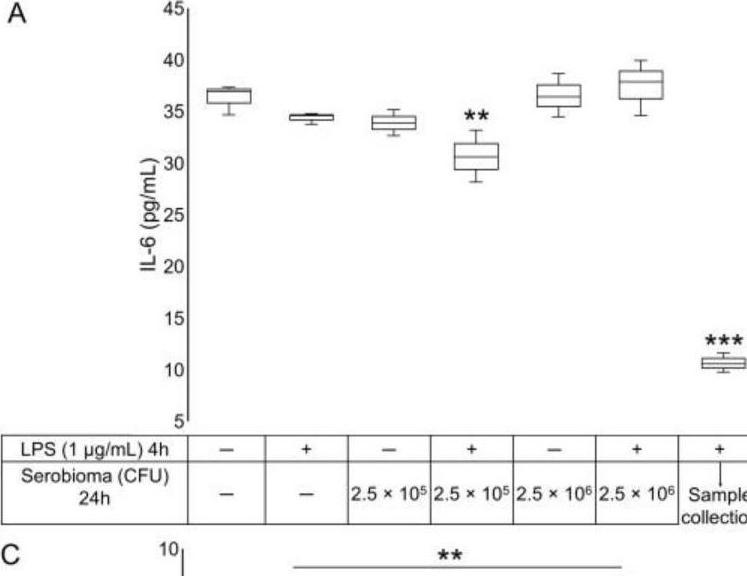 Fig.3.A showing Enzyme-linked immunosorbent assay from the publication: The Crosstalk between Intestinal Epithelial Cells and Mast Cells Is Modulated by the Probiotic Supplementation in Co-Culture Models.