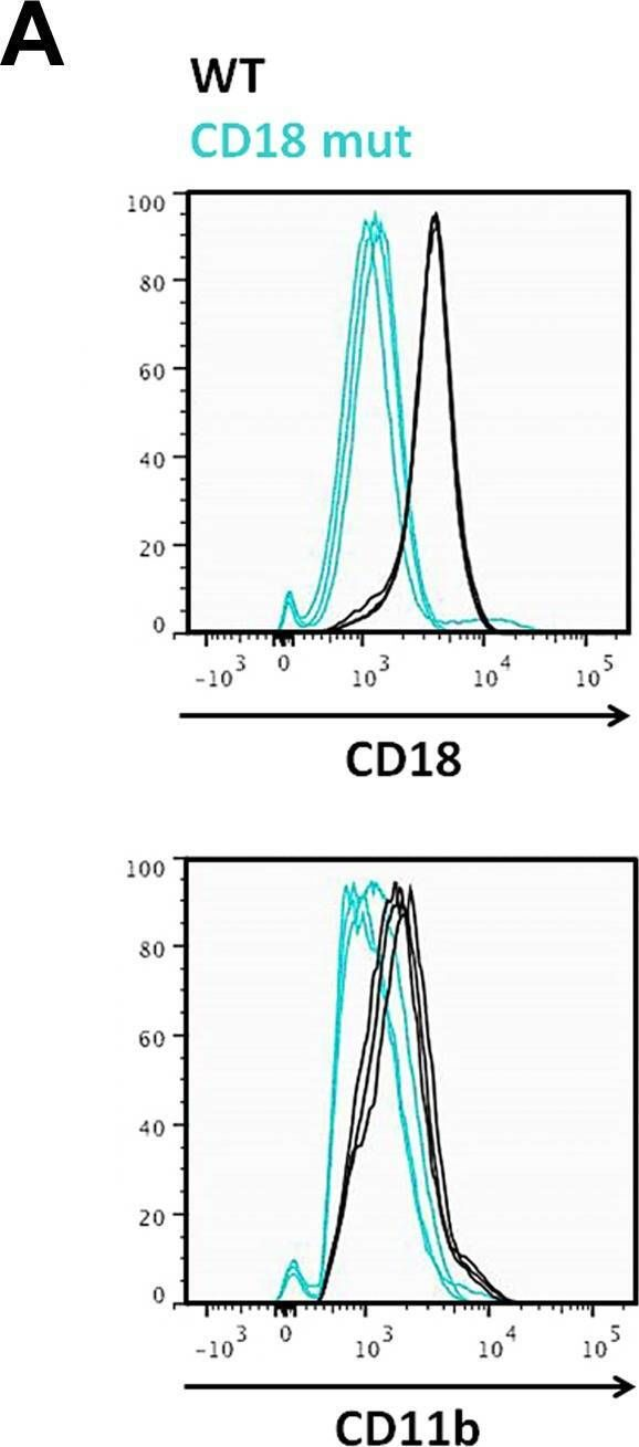 Fig.1.A showing Flow cytometry/Cell sorting in a Mus musculus (House mouse) sample from the publication: CD18 deficiency improves liver injury in the MCD model of steatohepatitis.