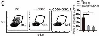 Fig.6.G showing Flow cytometry/Cell sorting from the publication: METTL3/RBM15 augments the stability of Kdm6b mRNA and promotes STAT1-mediated macrophage activation and atherosclerosis.