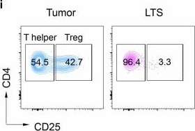 Fig.7.I showing Flow cytometry/Cell sorting in a Mus musculus (House mouse) sample from the publication: Integrating antigen capturing nanoparticles and type 1 conventional dendritic cell therapy for in situ cancer immunization.